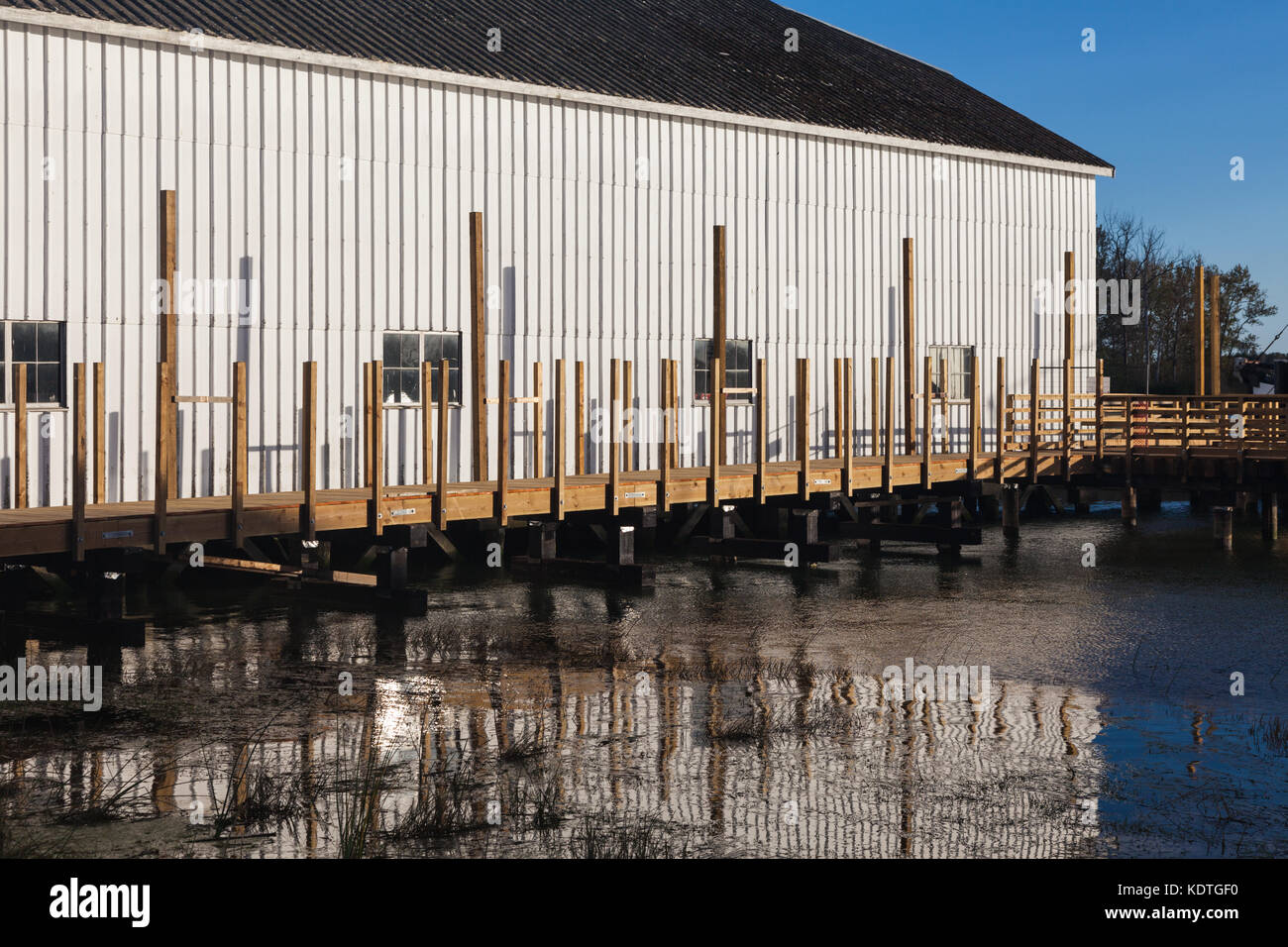 La ricostruzione di una passerella di marine per accedere a un vecchio net loft sul fiume Fraser in steveston, Canada Foto Stock