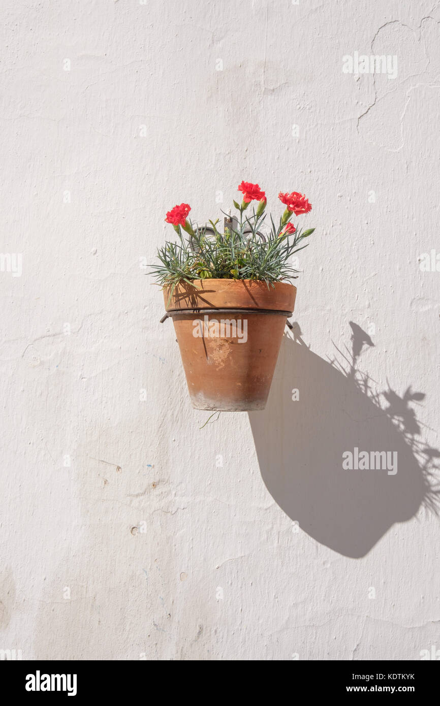 Spagnolo tradizionale montato a muro Vaso di fiori. Foto Stock