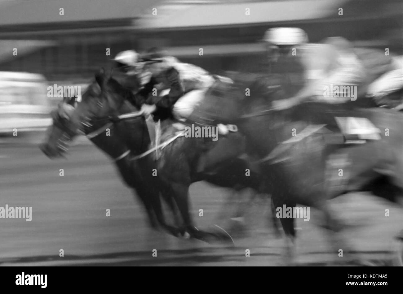 L'eccitazione della corsa come vye offuscato cavalli e scimini per la posizione: Newcastle Racecourse, Broadmeadow, nuovo Galles del Sud, Australia. Versione B/W. Foto Stock