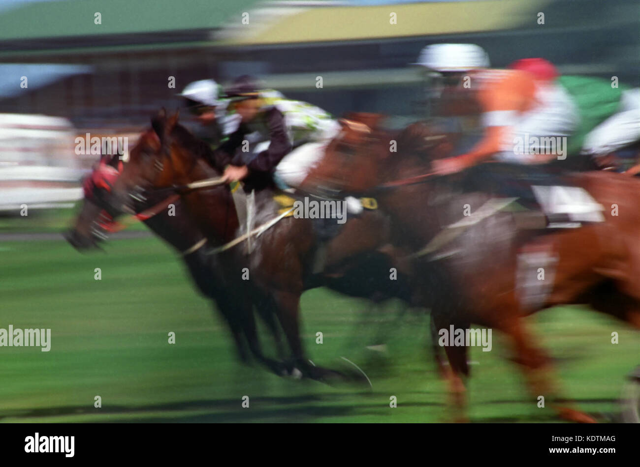 L'eccitazione della corsa come vye offuscato cavalli e scimini per la posizione: Newcastle Racecourse, Broadmeadow, nuovo Galles del Sud, Australia Foto Stock