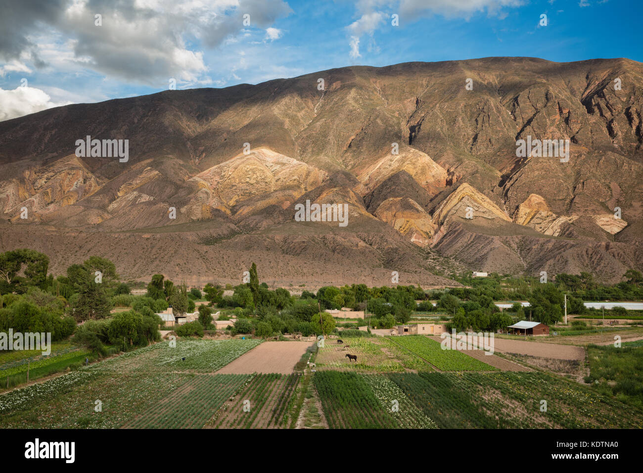 Terreni agricoli vicino a Maimarà, con il "pittore della tavolozza' colline oltre, Quebrada de Humahuaca, provincia di Jujuy, Argentina Foto Stock