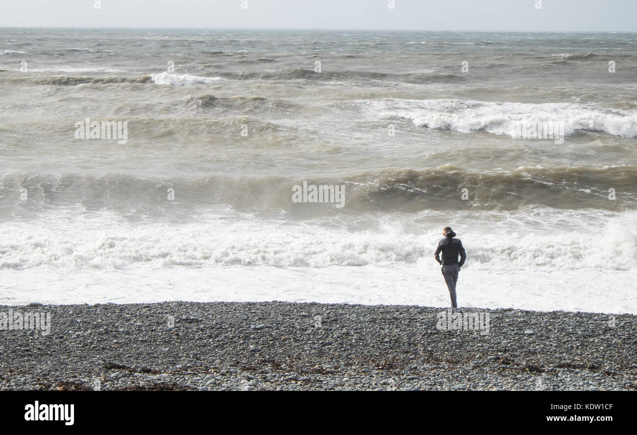 Aberystwyth, Wales, Regno Unito. Xvi oct, 2017. Regno Unito: Meteo Storm Ofelia in Aberystwyth,Galles,UK,U.K.,l'Europa. I forti venti provenienti in off sul mare irlandese, presenza di raffiche fino a 70mph, pastella il Cardigan Bay Town di Aberystwyth,Ceredigion,West Wales. Il Met Office ha emesso gli avvisi di ambra per la regione come i resti di uragano Ofelia raggiungere il Regno Unito. Una magia di molto ventoso è previsto per oggi in associazione con l'ex-Ofelia. Più i tempi di viaggio e le cancellazioni sono probabilmente, come strada, ferroviario, aereo e i servizi di traghetto possono essere interessate nonché alcune chiusure a ponte. Credito: Paolo Quayle/Alamy Live News Foto Stock