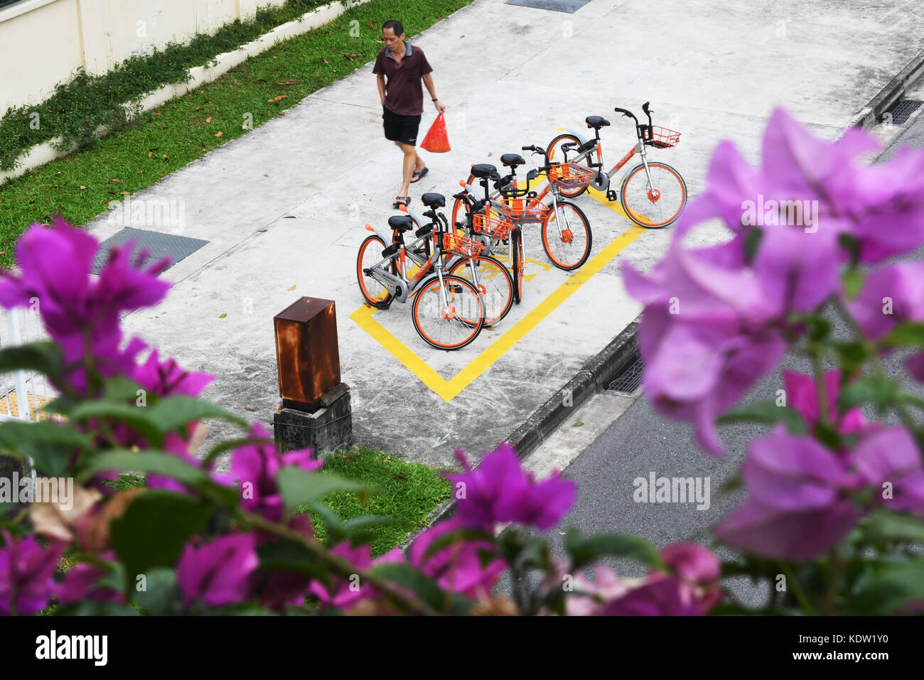 (171016) -- SINGAPORE, 16 ottobre 2017 (Xinhua) -- foto scattata il 16 ottobre 2017 mostra il parcheggio condiviso di biciclette all'interno di una scatola a scomparsa a Singapore. L'Autorità per i trasporti terrestri di Singapore, il Consiglio dei parchi nazionali e 16 comuni hanno recentemente firmato un memorandum d'intesa con i cinque operatori di condivisione delle biciclette a Singapore per incoraggiare la gestione responsabile dei servizi di condivisione delle biciclette negli spazi pubblici. (Xinhua/poi Chih Wey) (zjl) Foto Stock