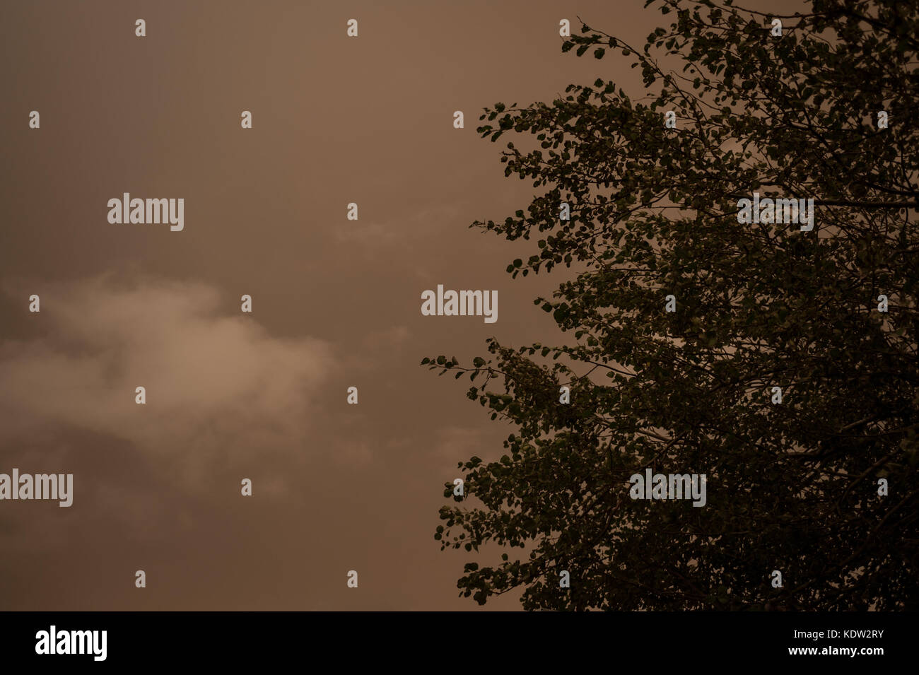 Una misteriosa scena di un albero contro un cielo scuro al Parco Mewsbrook in Littlehampton come il giorno si trasforma in notte durante la strana condizioni atmosferiche. Il cielo si è oscurato e uno strano bagliore arancione è apparso nel bel mezzo della giornata. Le luci di strada è venuto su e i piloti hanno dovuto mettere i loro fari su. Rapporti dire il fenomeno è stato causato dalla ex uragano, Storm Ofelia, tirando in aria e polvere dall'Europa meridionale e in Africa. Foto Stock