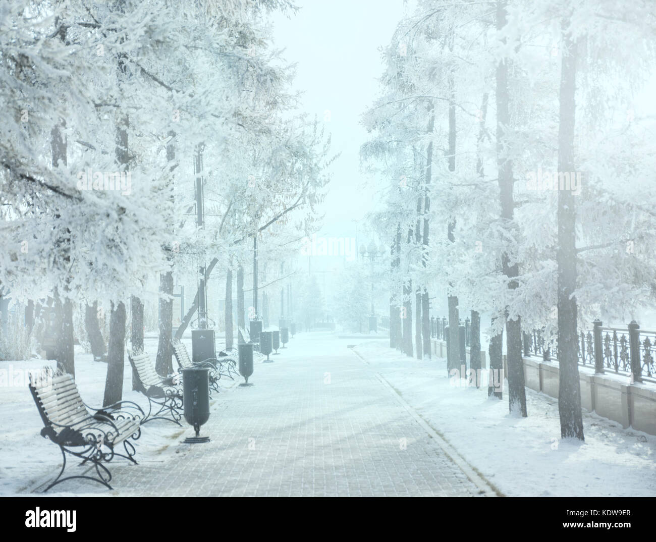 Magic Winter city park incandescente dalla luce del sole. città innevato paesaggio. bellissimi alberi nel gelo. retroilluminazione effetto sole. Filtro morbido. blu effetto tonificante. Foto Stock