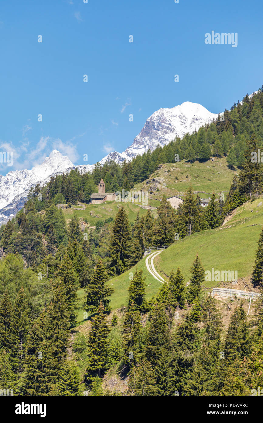 Verde foresta e montagne innevate, San Romerio Alp, Brusio, Cantone di Graubünden, Val Poschiavo, Svizzera Foto Stock