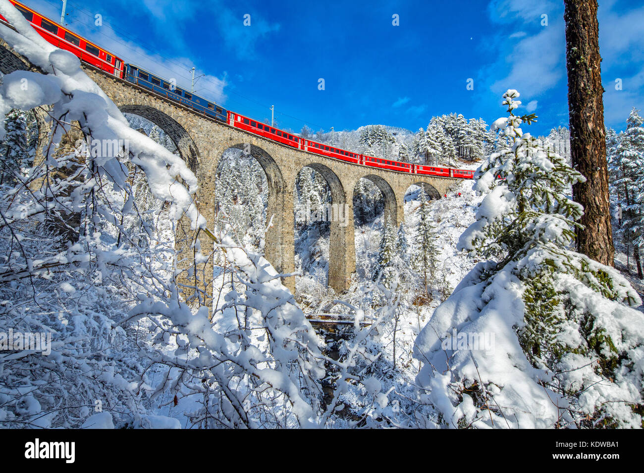 Bernina Express passa attraverso i boschi innevati intorno a Filisur Cantone dei Grigioni Svizzera Europa Foto Stock