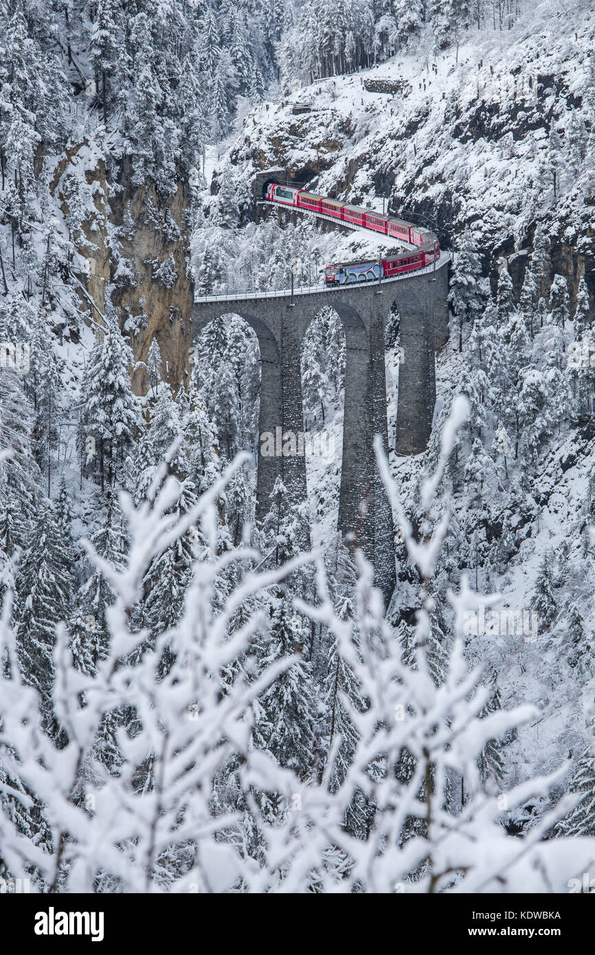 Bernina Express sul Landwasser Viadukt incorniciato da boschi innevati Filisur Valle dell Albula Cantone dei Grigioni Svizzera Europa Foto Stock