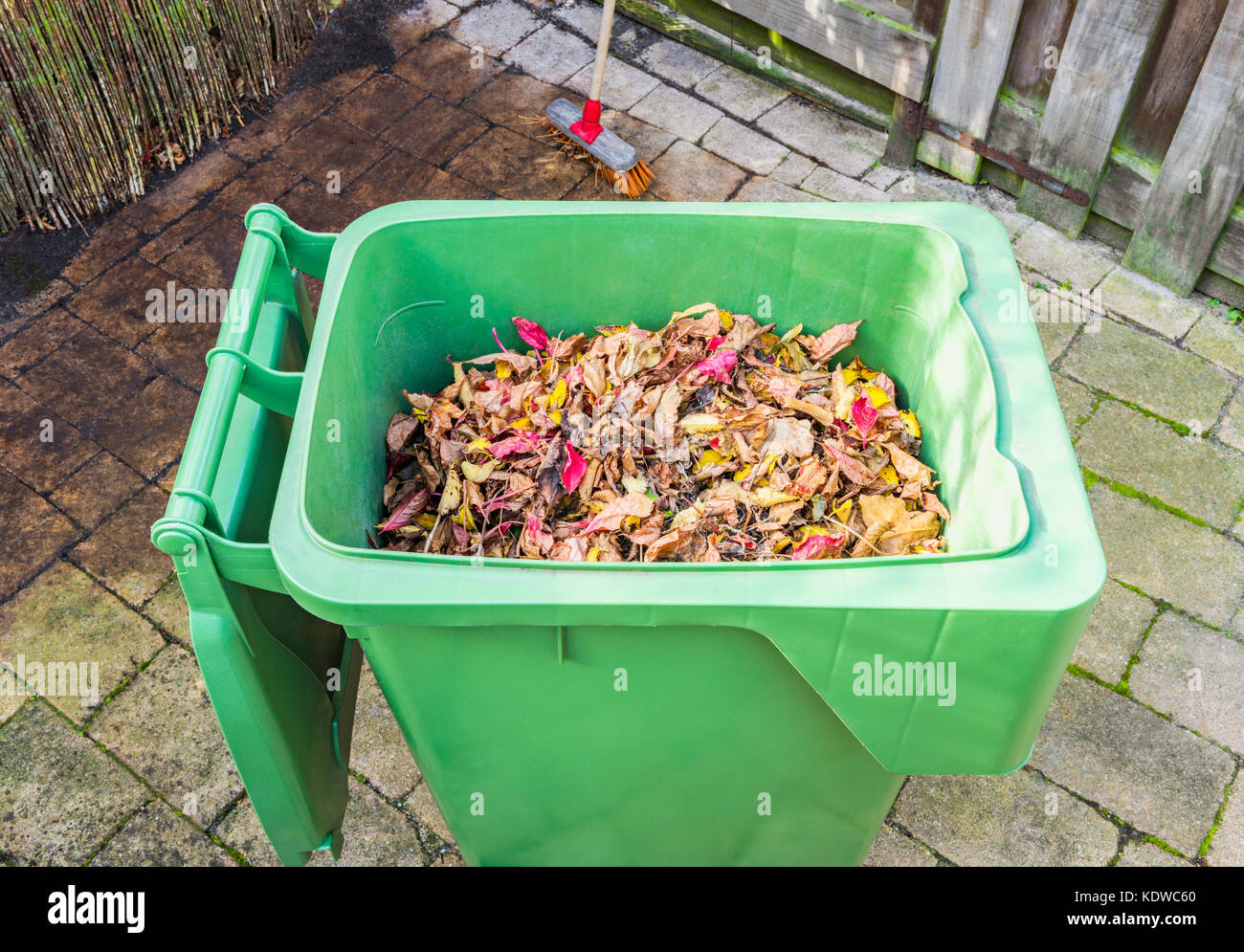 Foglie di autunno in immondizia nel cortile posteriore Foto Stock