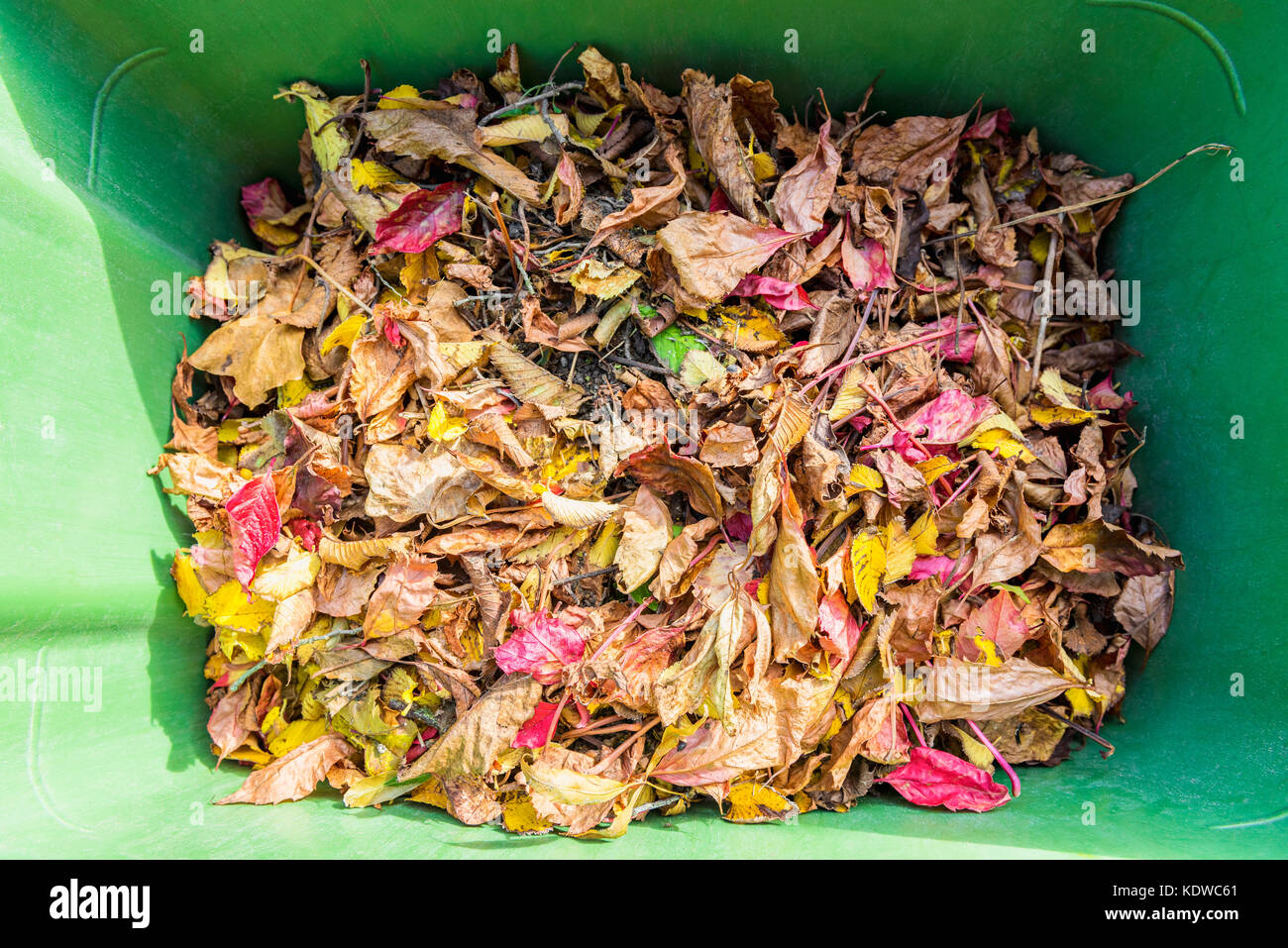 Colorato Foglie di autunno all'interno di immondizia può, guardando verso il basso Foto Stock