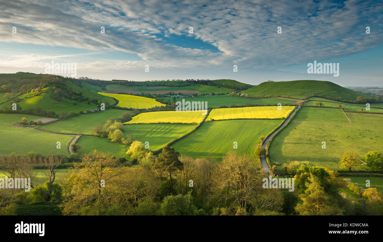 La strada a Corton Denham via Kember's Hill & Whitcombe dal Castello di Cadbury, South Somerset, Inghilterra Foto Stock