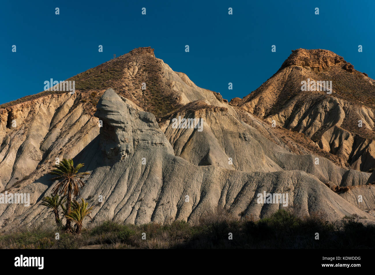 Macchia naturale deserto Tabernas, provincia di Almeria, regione dell'Andalusia, Spagna, Europa Foto Stock