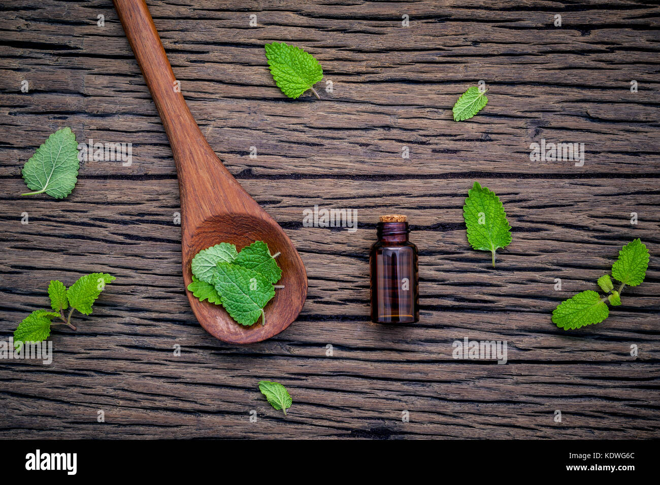 Bottiglia di olio essenziale di limone fresco Melissa foglie in configurazione a cucchiaio con piatto giaceva sul malandato tavolo in legno. melissa tintura di olio in bottiglia di vetro con p. Foto Stock