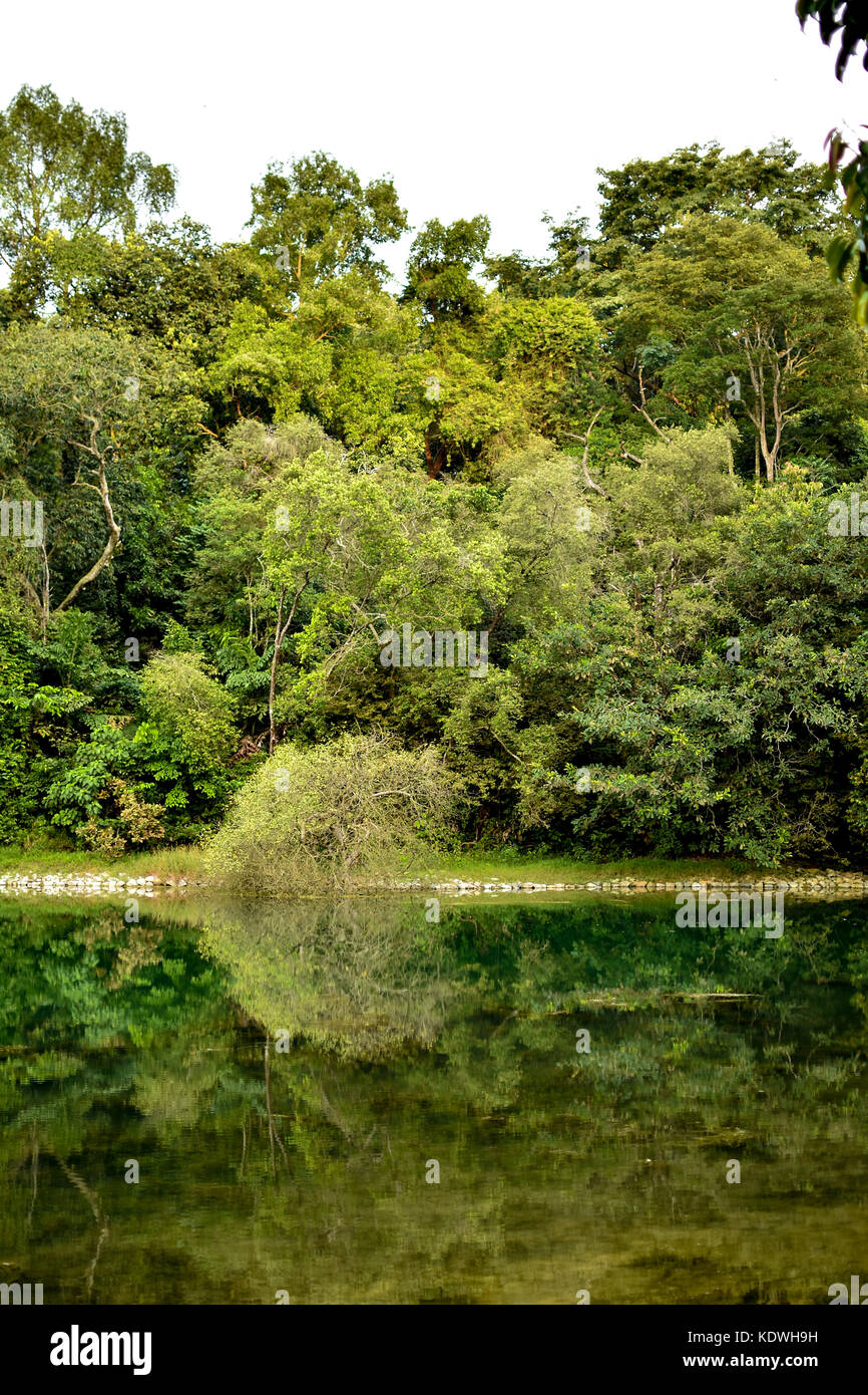 Acqua pulita Foto Stock