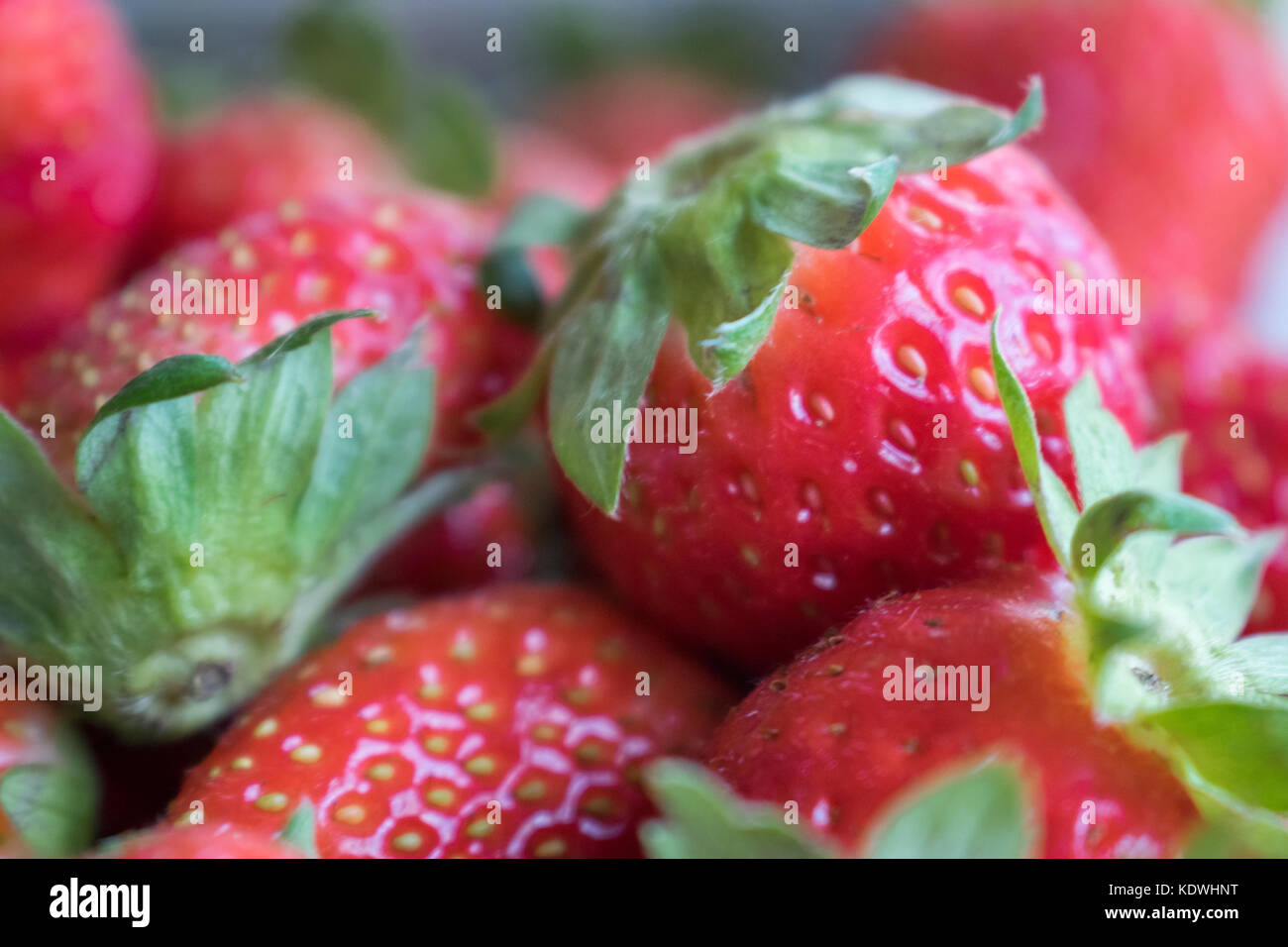 Rosso brillante fragole cibo sano frutta Foto Stock