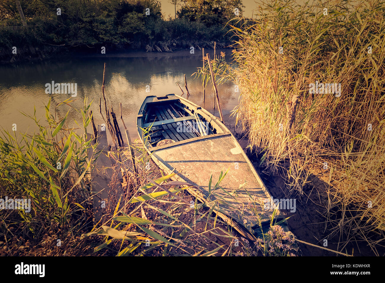 La barca di legno sulla riva cresciuto con ance. vecchia barca da pesca. Foto Stock