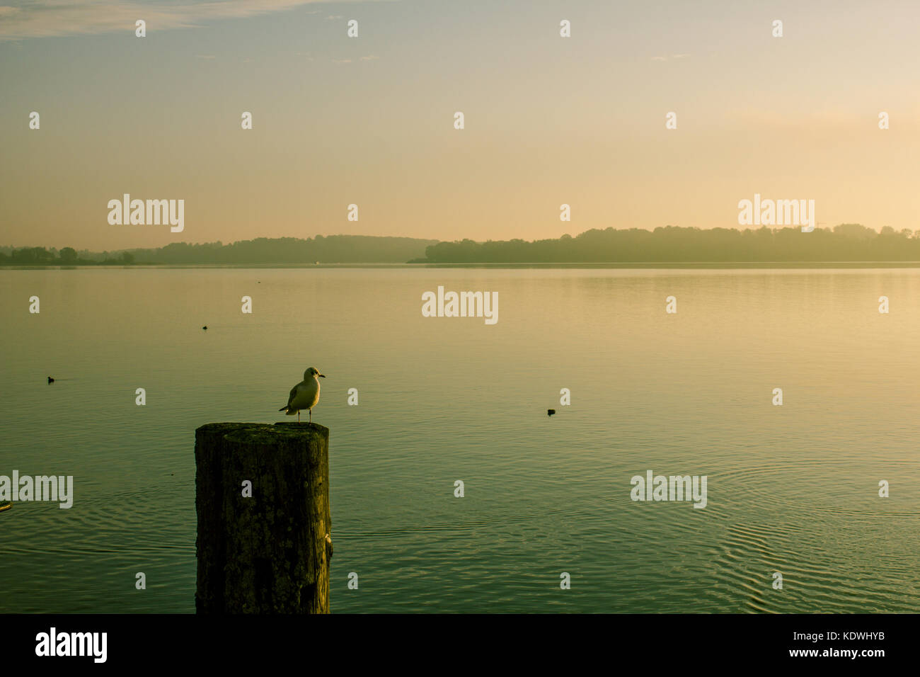 Una vista del lago Chiemsee, su Prien am Chiemsee, Baviera, Germania Foto Stock