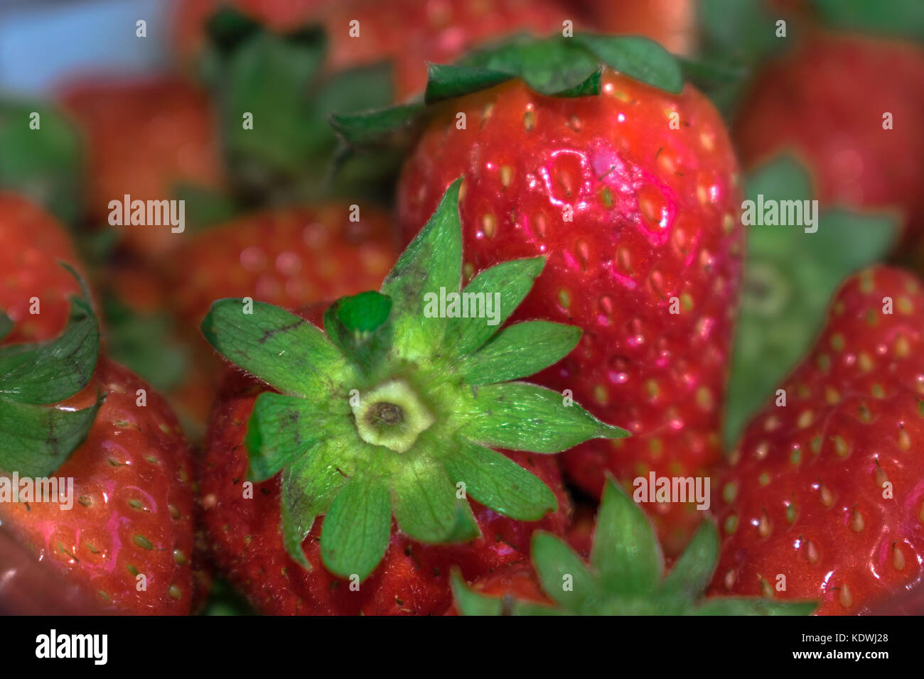 Rosso brillante fragole cibo sano frutta Foto Stock