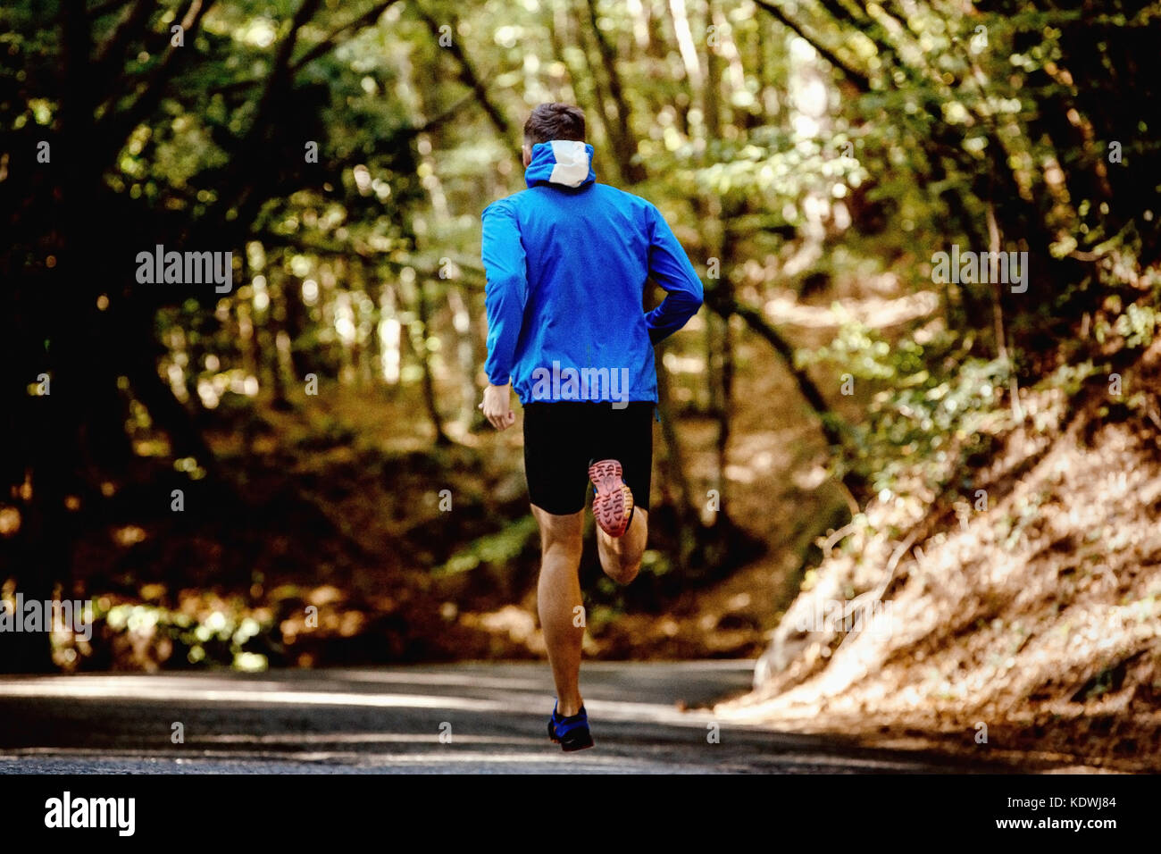Torna uomo in giacca blu e breve collant in esecuzione una strada forestale Foto Stock