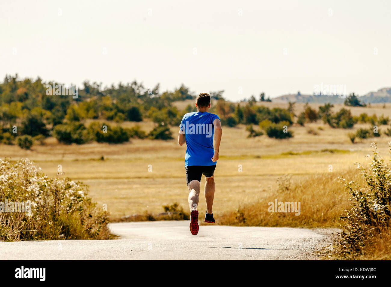 Indietro runner maschio atleta che corre sulla strada tra campo di erba gialla Foto Stock