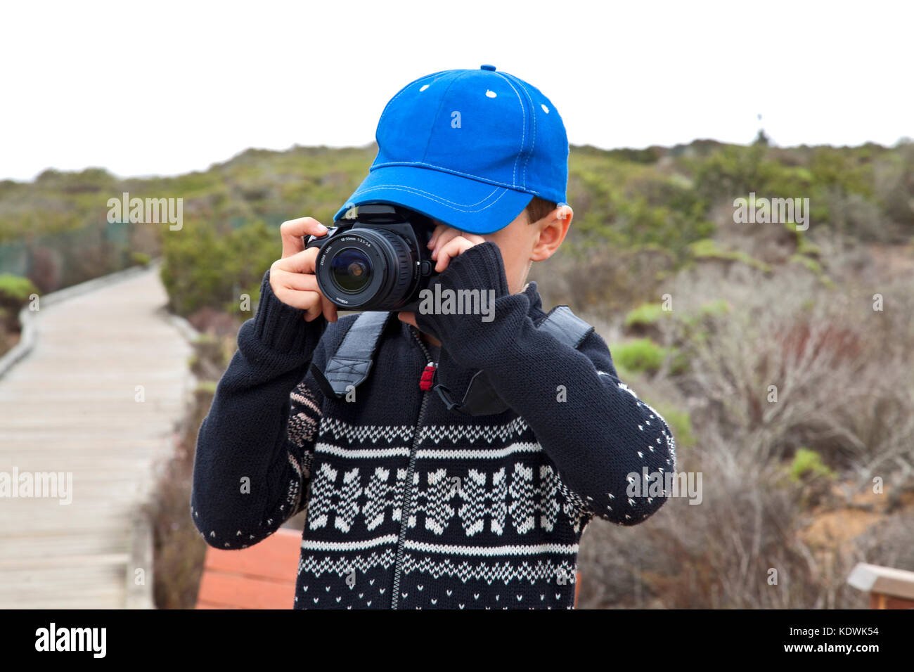 Ragazzo di scattare le foto con una fotocamera, foresta foliatile, baywood park, San Luis Obispos County, California, Stati Uniti d'America (MR) Foto Stock