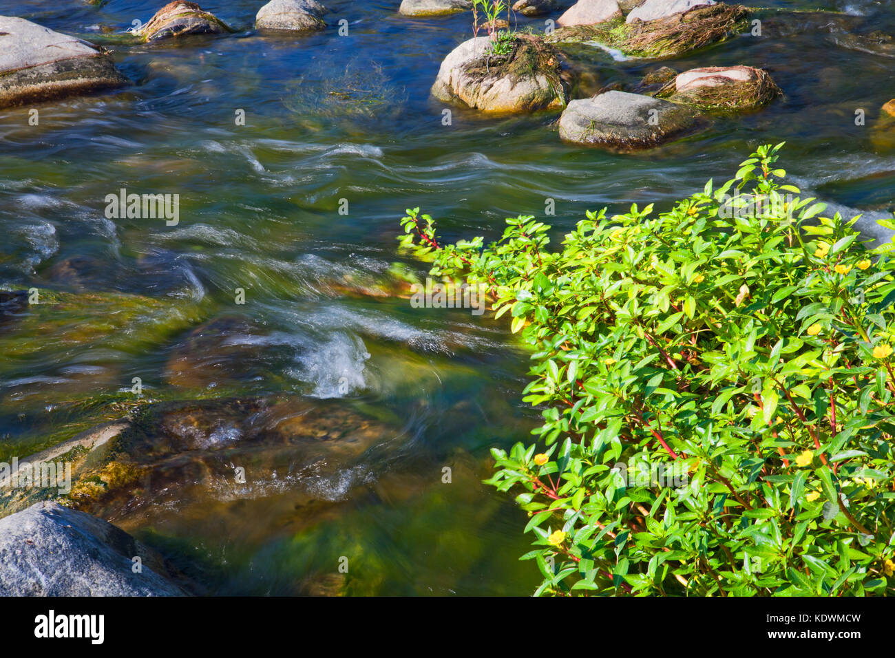 Le correnti di acqua nel fiume di los angeles, glendale si restringe, elysian valley, Los Angeles, california, Stati Uniti d'America Foto Stock