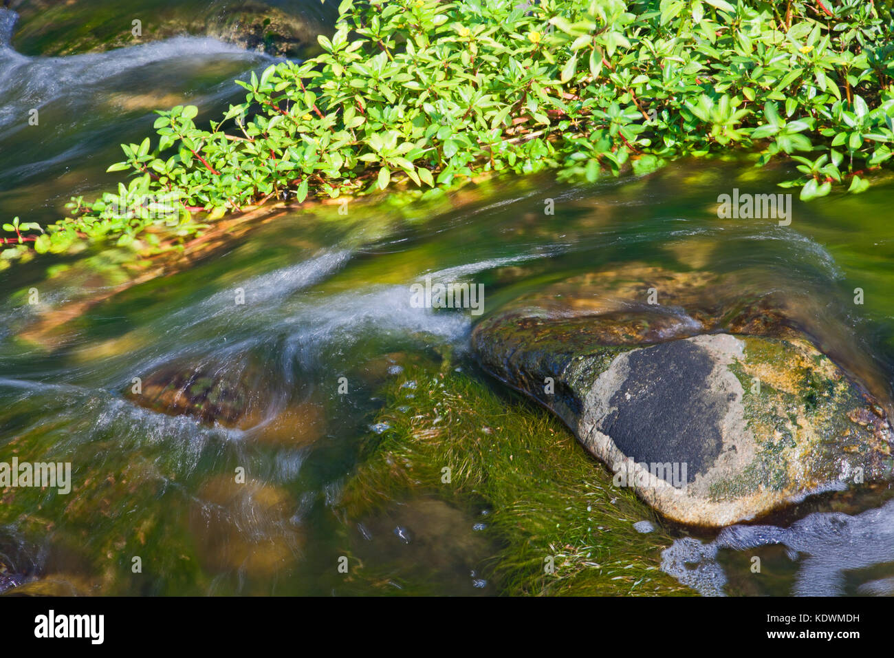 Le correnti di acqua nel fiume di los angeles, glendale si restringe, elysian valley, Los Angeles, california, Stati Uniti d'America Foto Stock