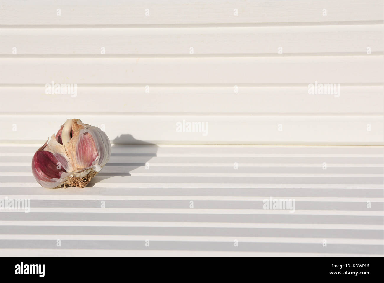 Fotografia di cibo di immagine di un bianco luminoso aperto BULBO Aglio e chiodi di garofano di aglio preso al sole con legno bianco e lo sfondo sulla costa Sud Inghilterra REGNO UNITO Foto Stock