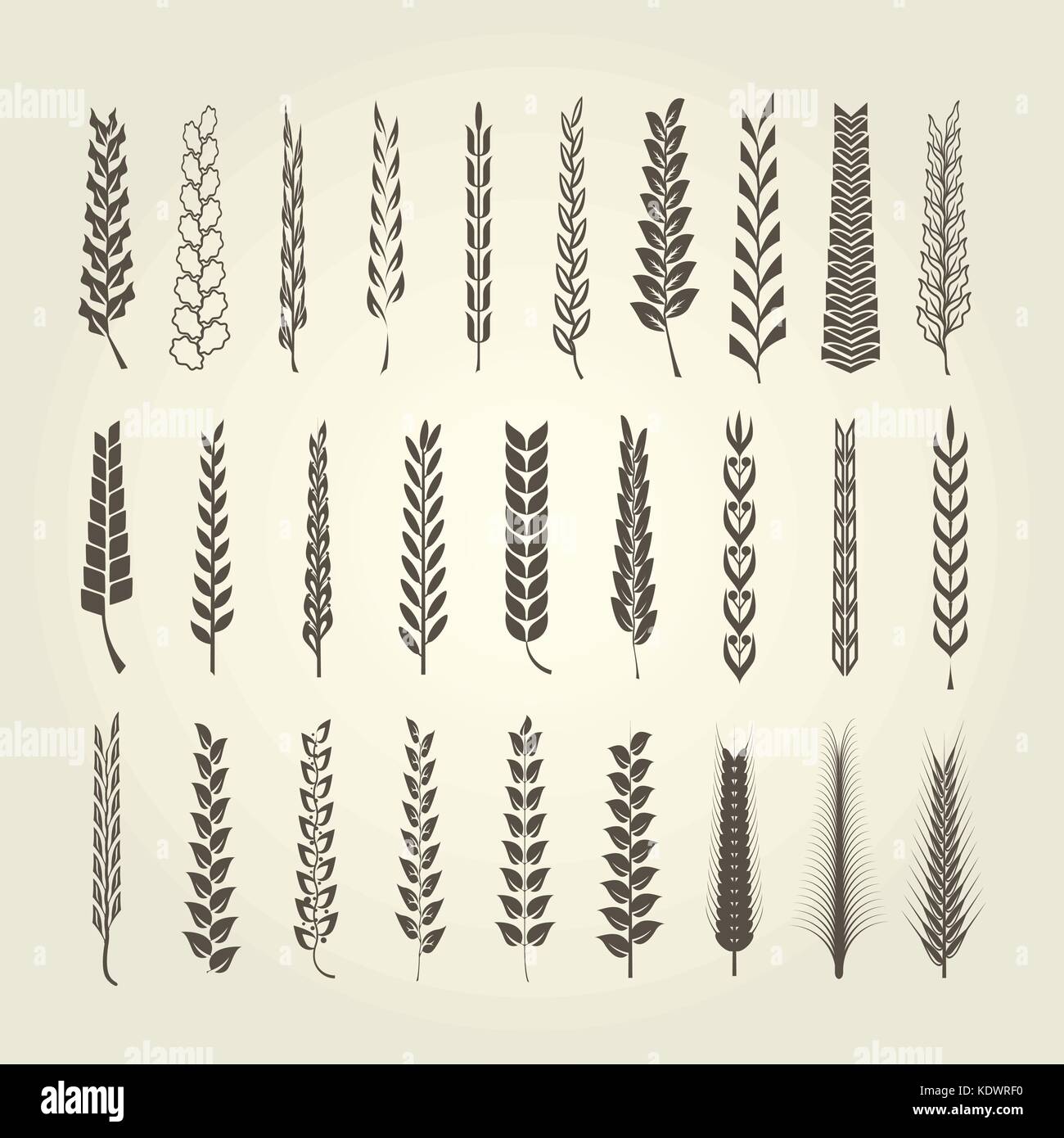 Frumento e segala spikelet collezione in stile differente Illustrazione Vettoriale