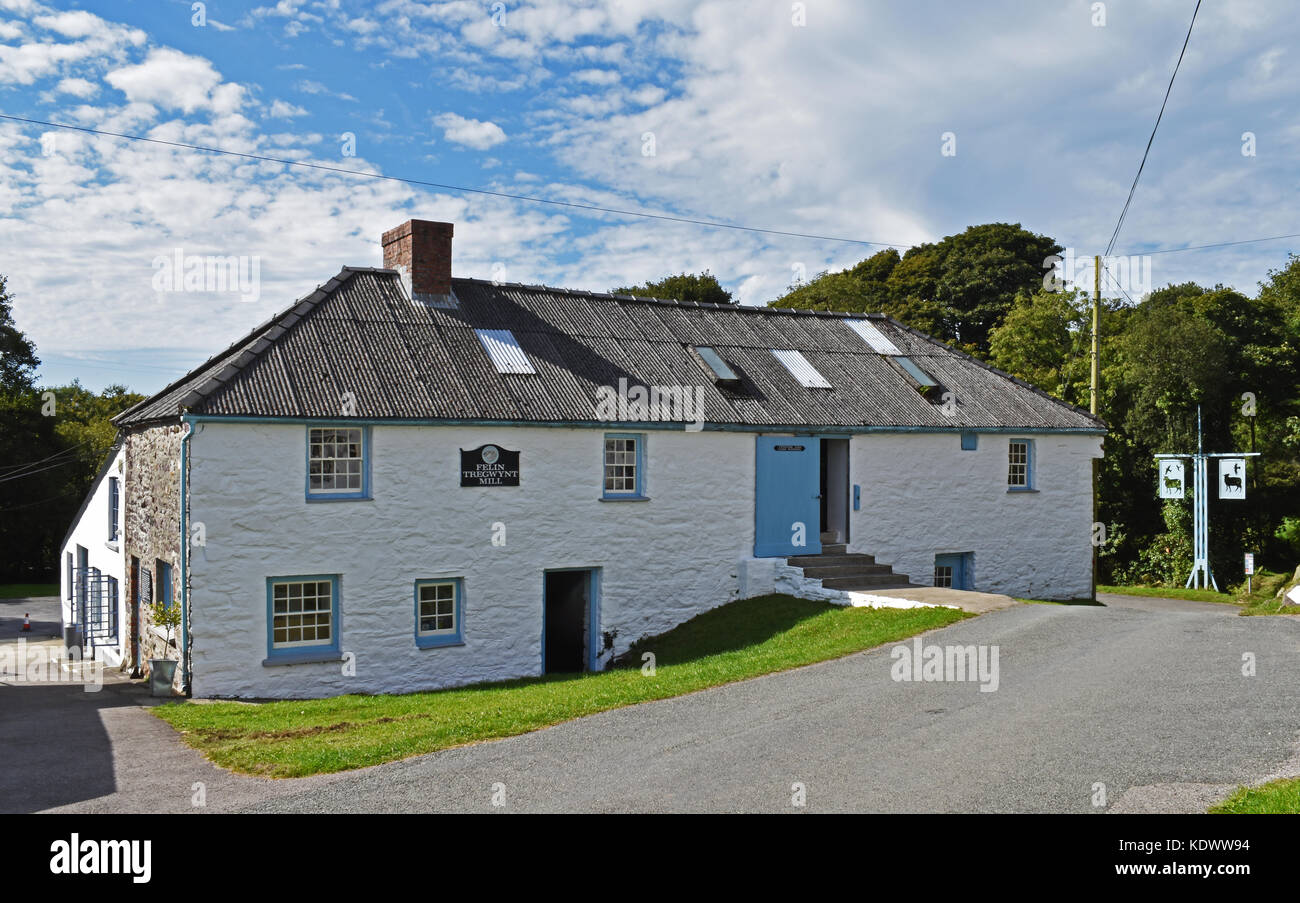 Tregwynt lanificio, Wales, Regno Unito Foto Stock