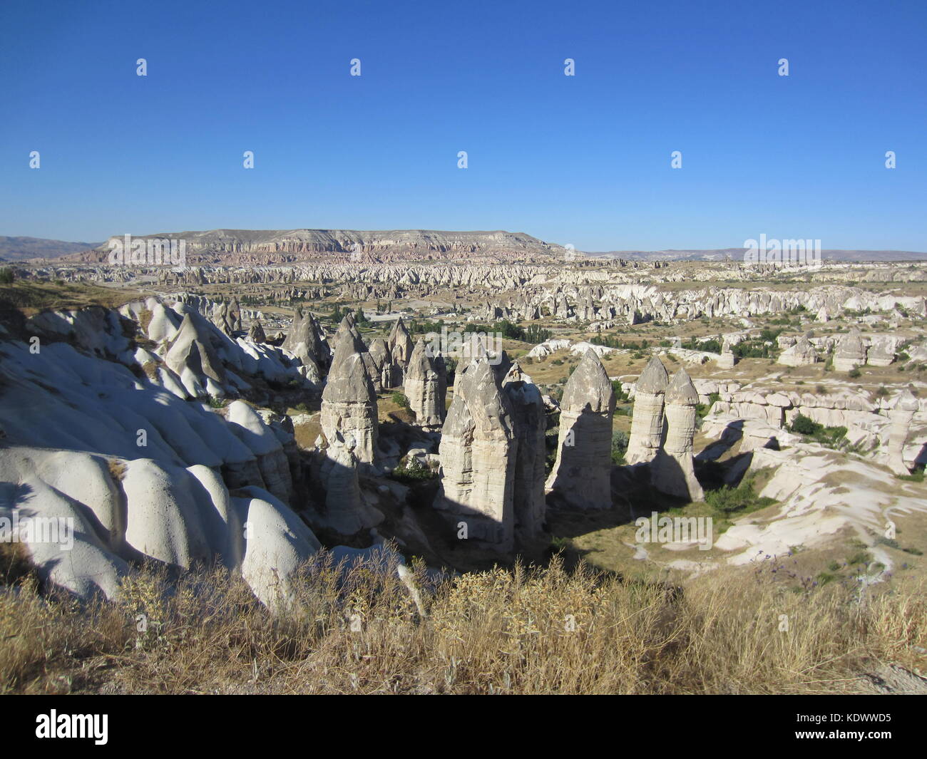 Camini di Fata in Cappadocia, Turchia Foto Stock