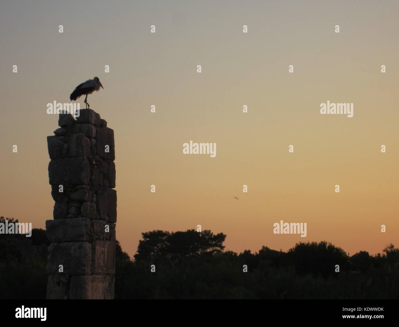Silhouette di heron al tramonto sulla parte superiore di una colonna di rovina in efes, Turchia. Foto Stock