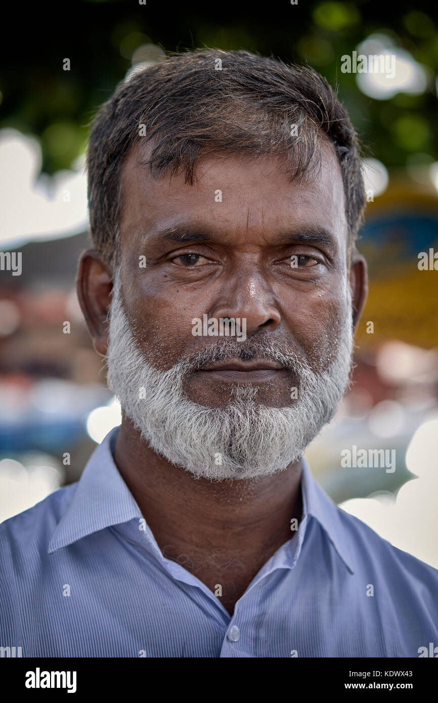 Ritratto asiatico uomo. Barba, barbuto Foto Stock