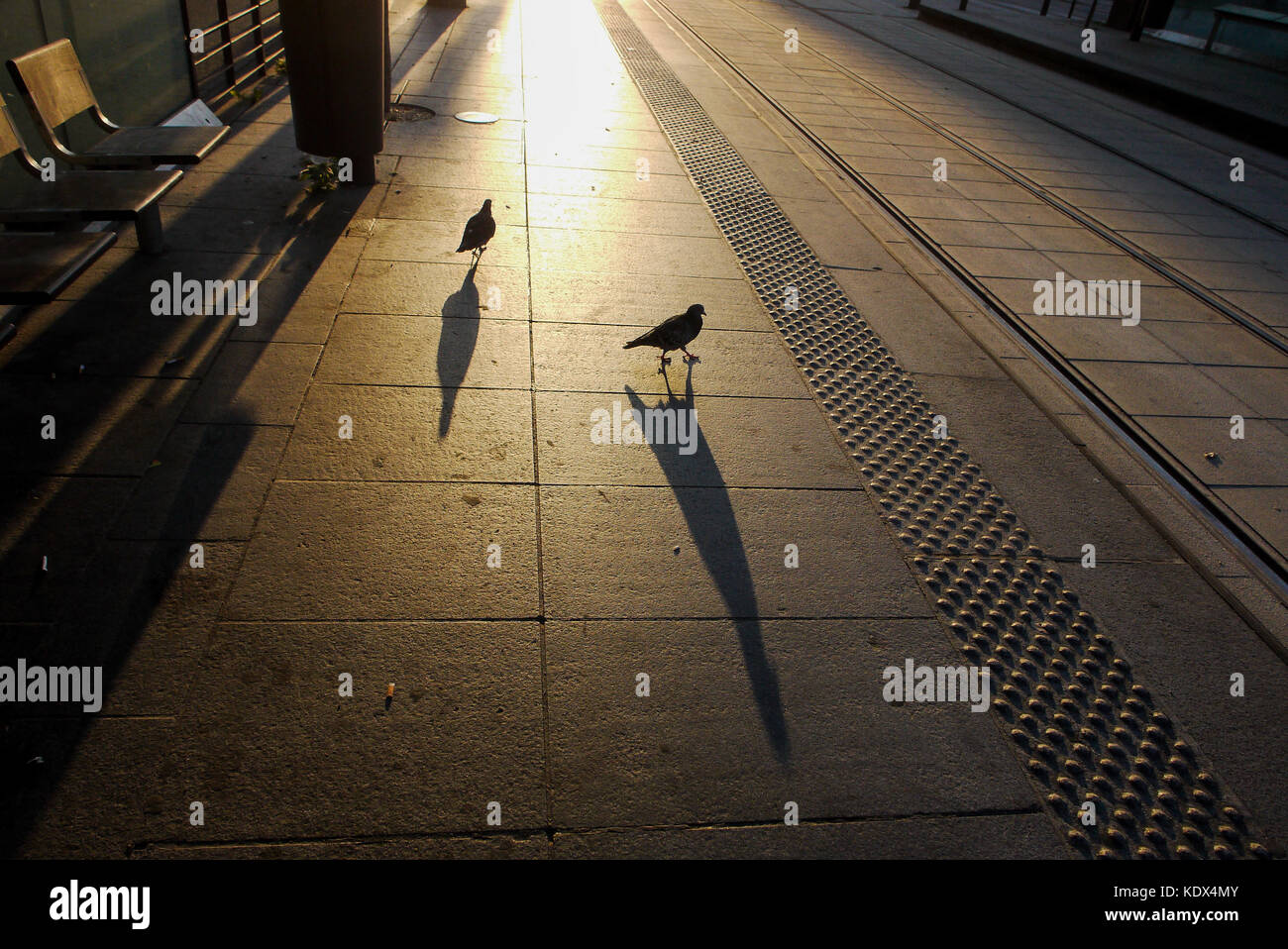 Semaforo mattutino sulla linea del tram T3, a Parigi, Francia Foto Stock