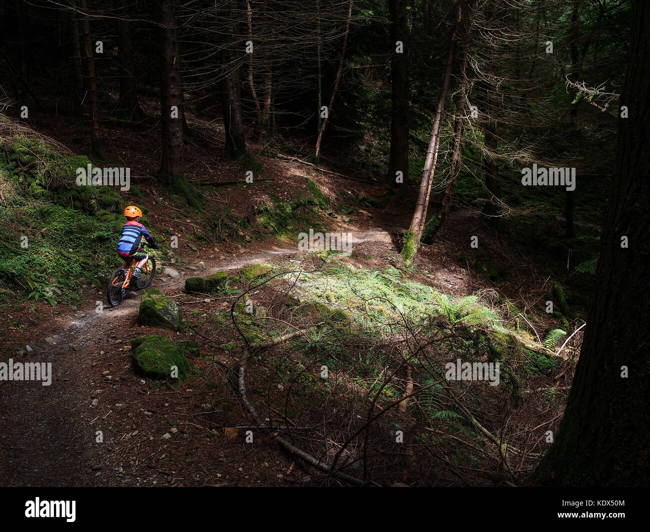 Bambino trail riding in snowdonia coed y brenin Foto Stock