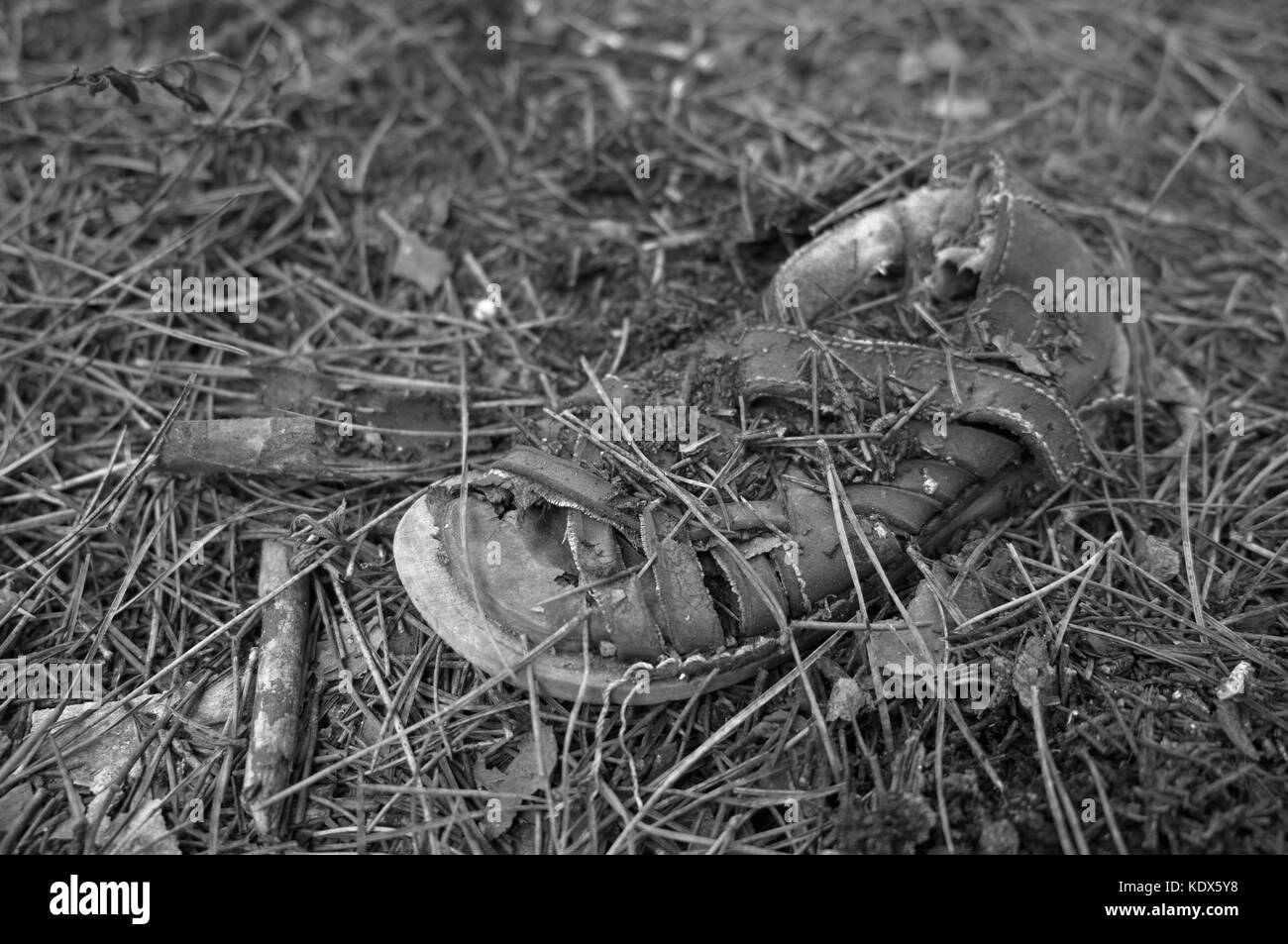 Vecchio sandalo bambino abbandonato nella foresta. Strano, perse l'infanzia, gli abusi sui minori e investigazione di reati correlati Foto Stock