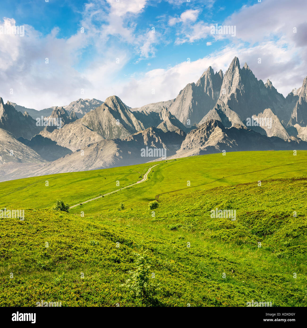 Pendii erbosi e picchi rocciosi composito. stupendo paesaggio estivo con la magnifica montagna cresta oltre al piacevole prati verdi. bella ventola surreale Foto Stock