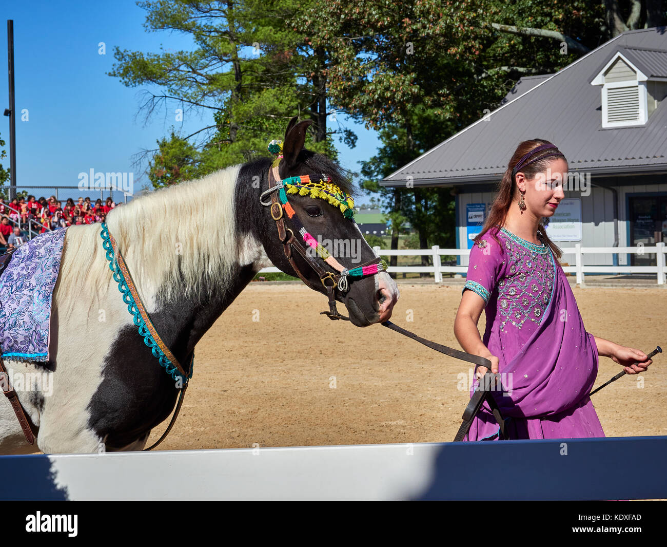 Il Kentucky Horse Park; Foto Stock