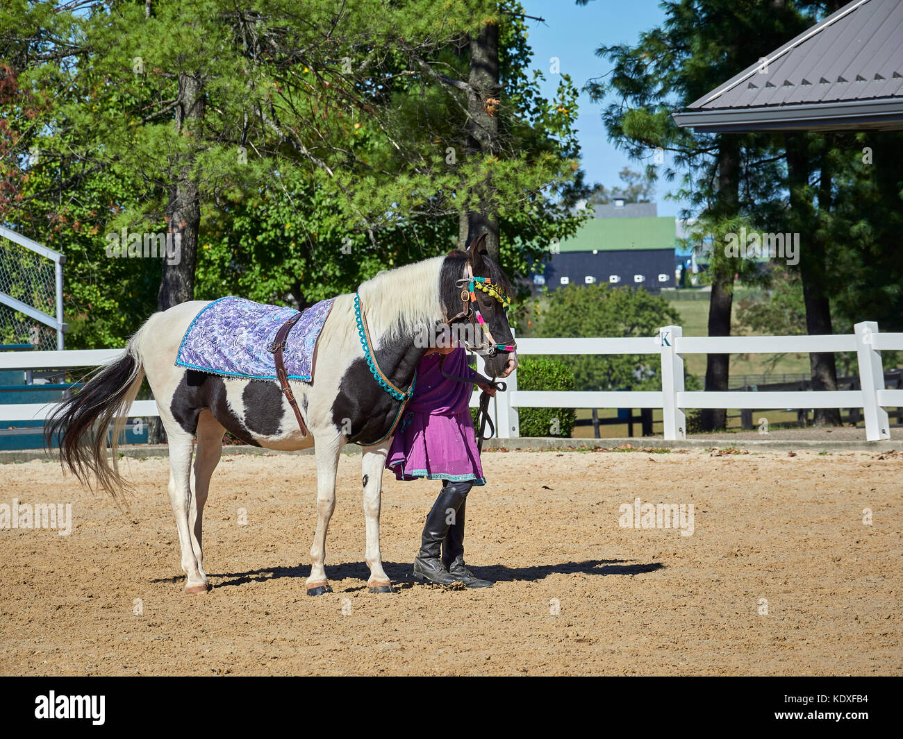 Il Kentucky Horse Park; Foto Stock