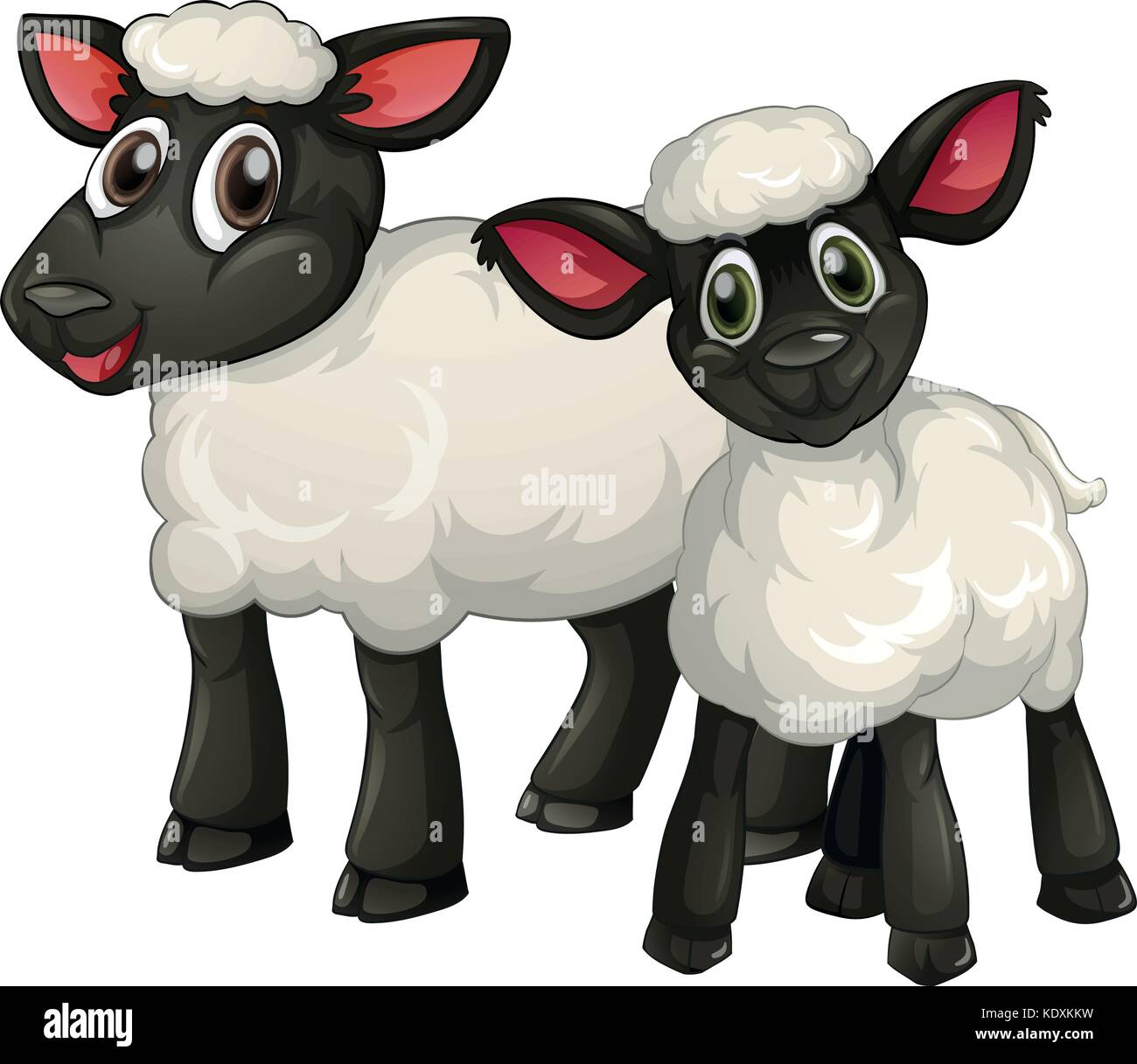Due agnelli bianchi sorride illustrazione Illustrazione Vettoriale