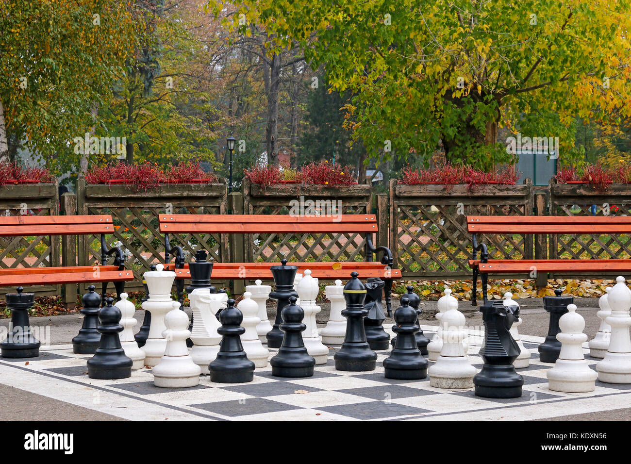 In bianco e nero a scacchi figure nel parco stagione autunno Foto Stock