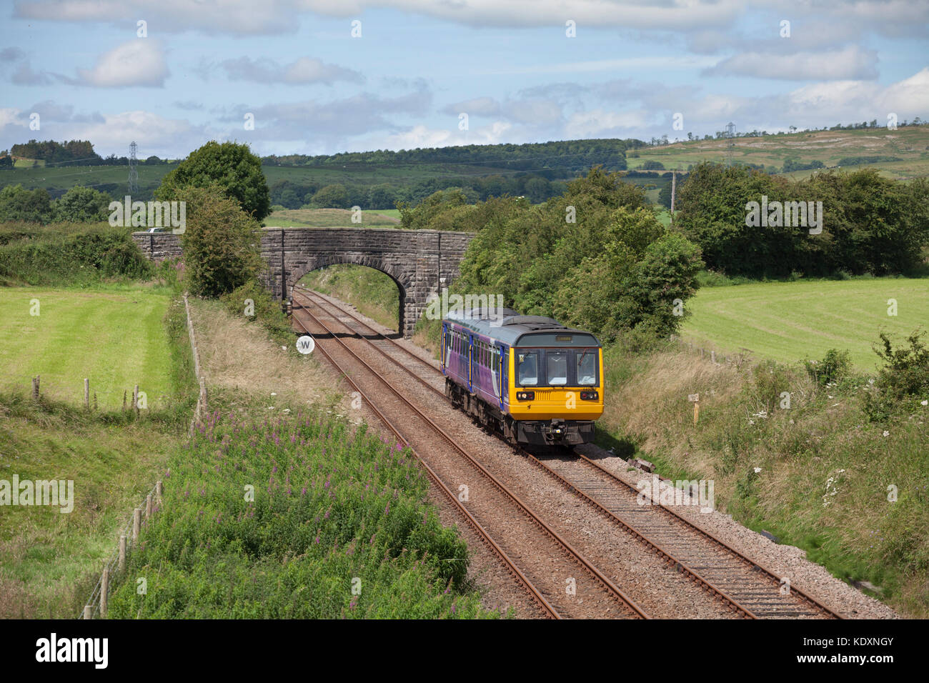 Una rampa settentrionale classe 142 pacer treno passa Docker (tra Carnforth & Wennington, Lancashire) con il 1222 Morecambe - Leeds Foto Stock