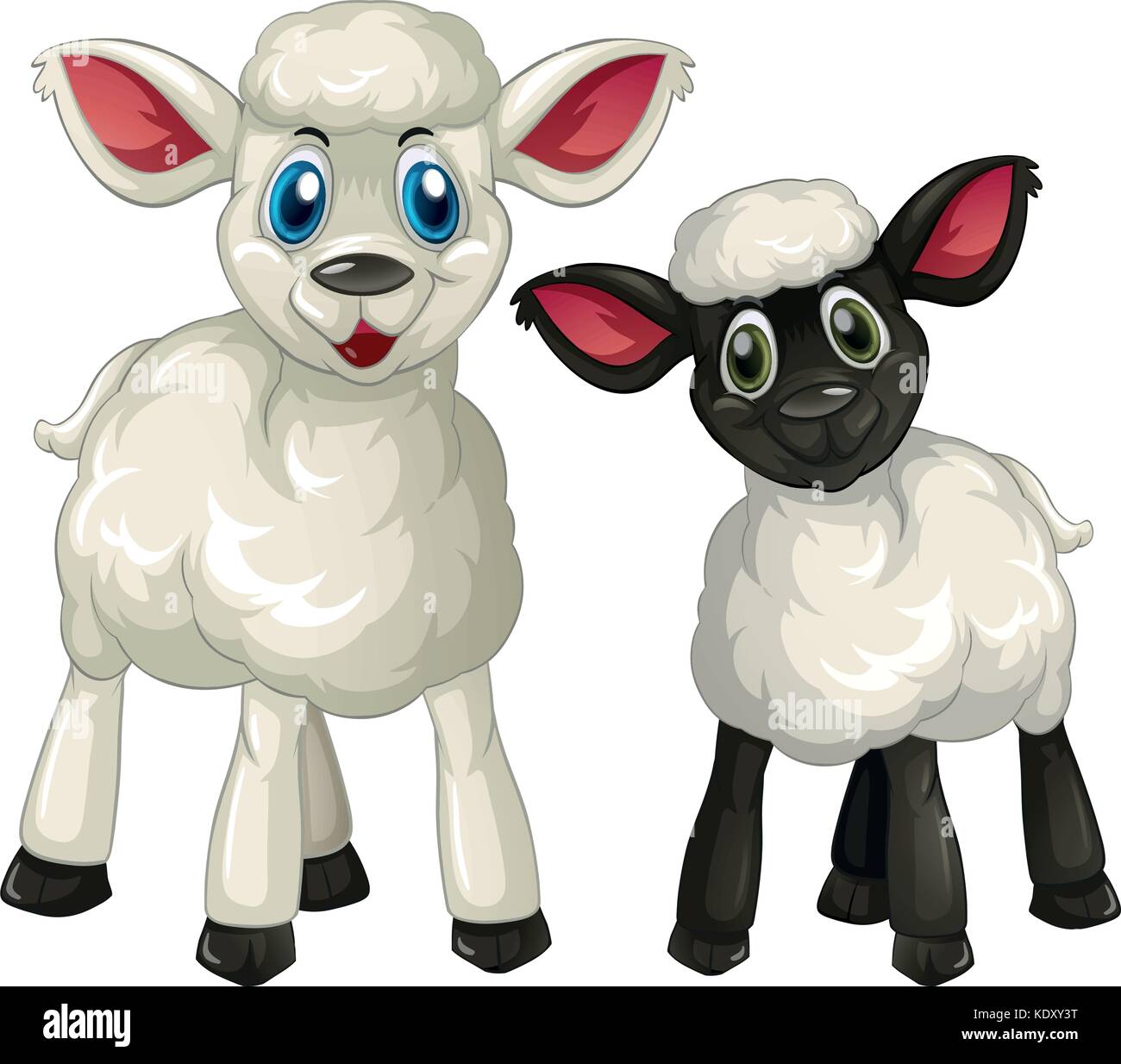 Due piccoli agnelli su sfondo bianco illustrazione Illustrazione Vettoriale
