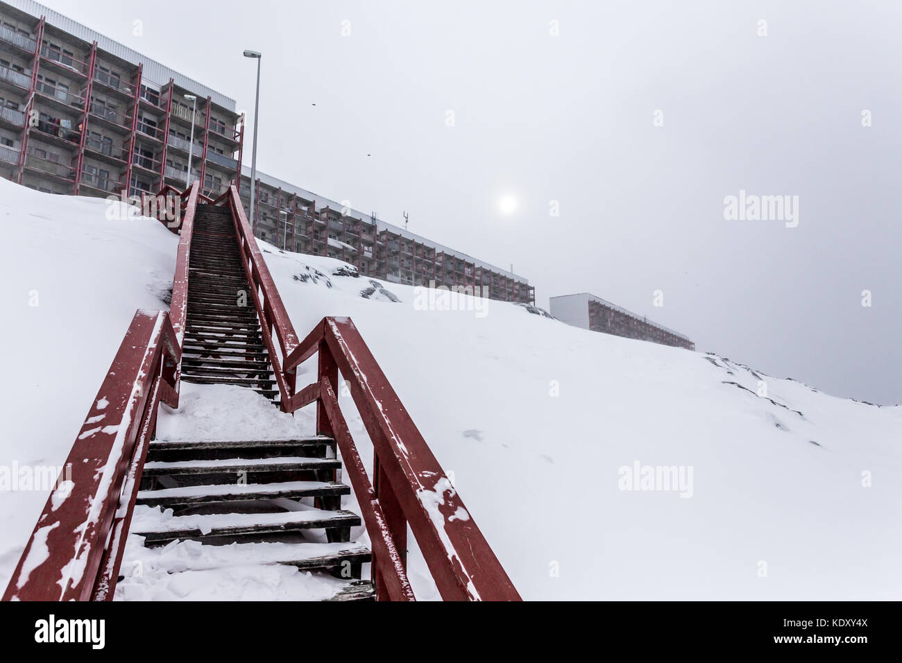 Scale per i blocchi vivente, dopo la nevicata Nuuk, Groenlandia Foto Stock