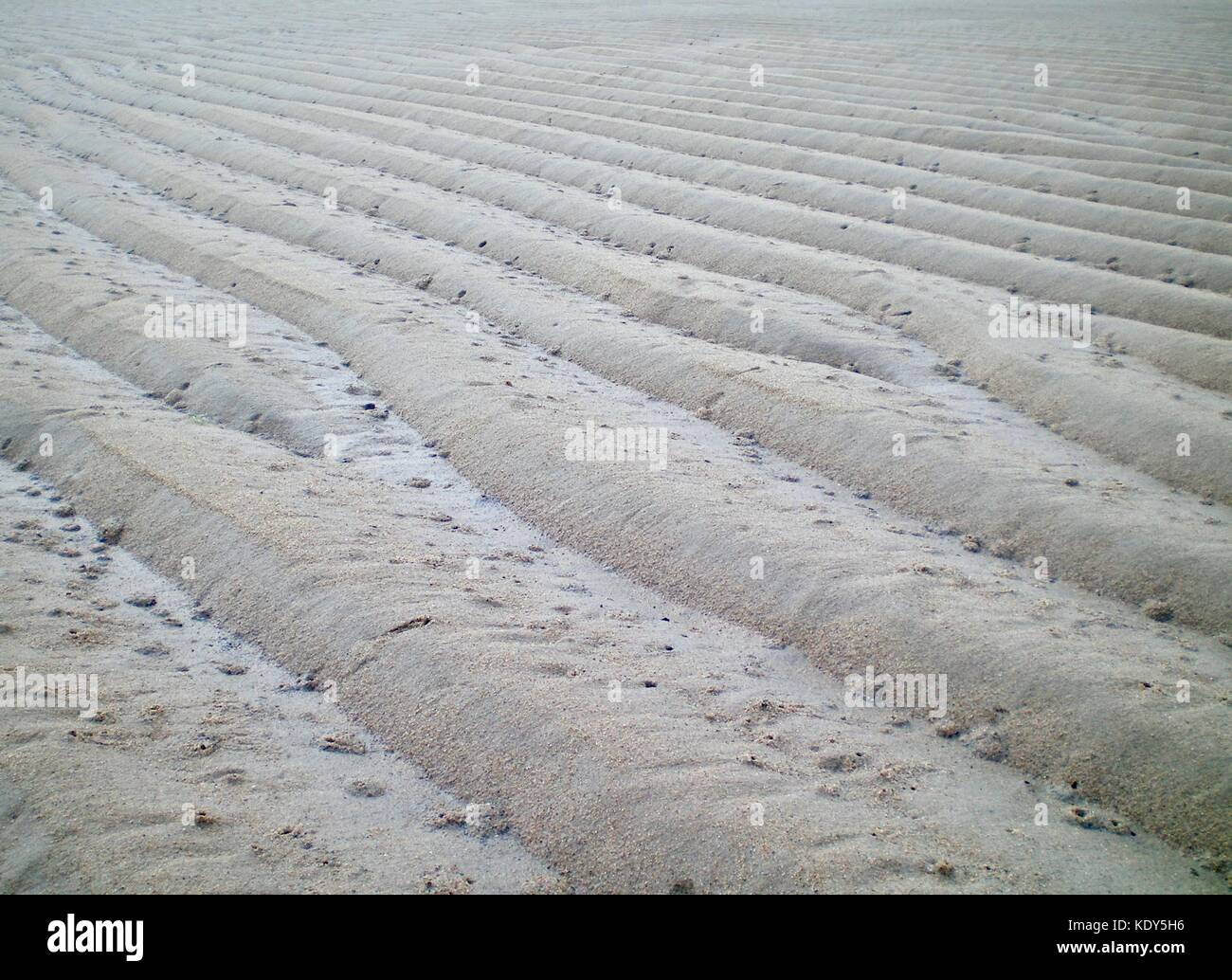 Increspature di sabbia bianca lasciate dalla marea sfuggente Foto Stock