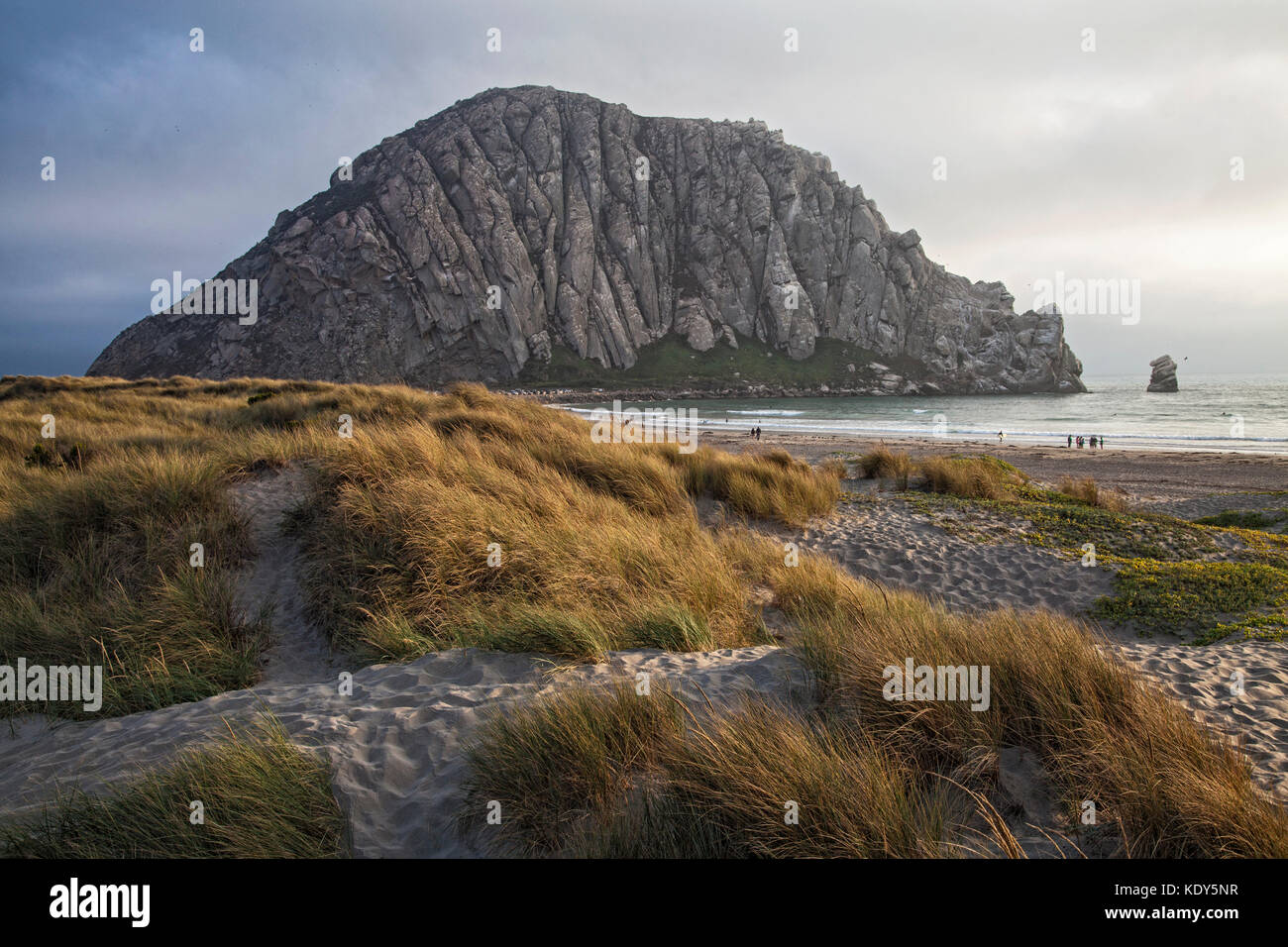Morro Rock, Morro Bay, San Luis Obispo County, California, Stati Uniti d'America Foto Stock
