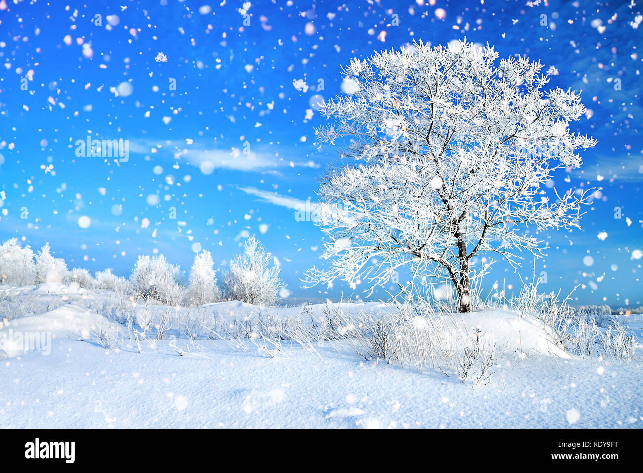 Inverno bellissimo paesaggio rurale con la foresta e il cielo blu. Il  pupazzo di neve invernale giornata soleggiata. winterly innevato paesaggio  Foto stock - Alamy