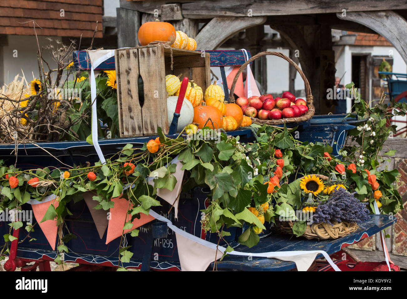 Autunnale di cavallo e carro a Weald and Downland Open Air Museum, Campagna autunno mostra, Singleton, Sussex, Inghilterra Foto Stock