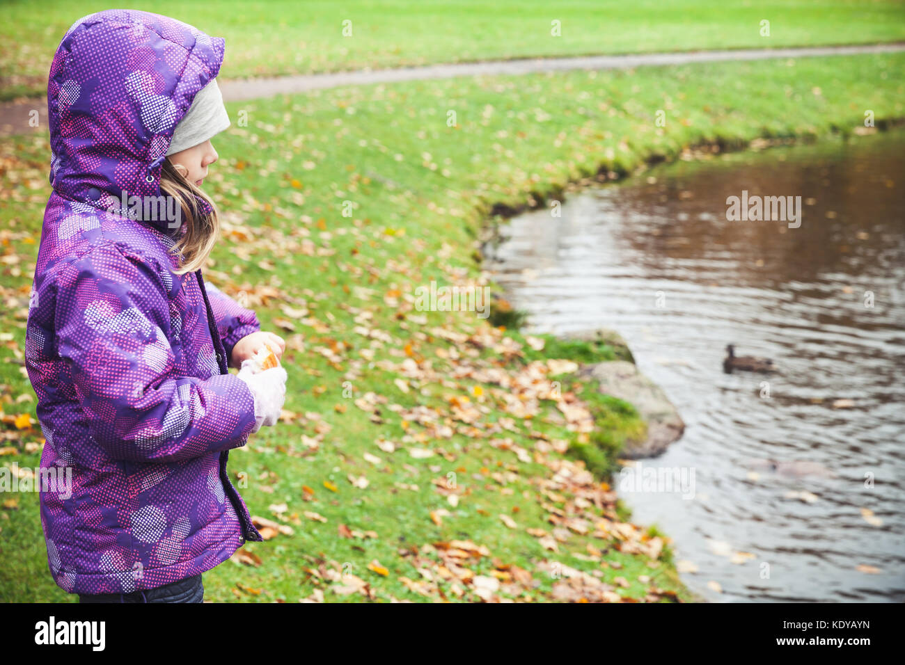 Bambina alimenta le anatre su un lago di costa nel parco di autunno Foto Stock
