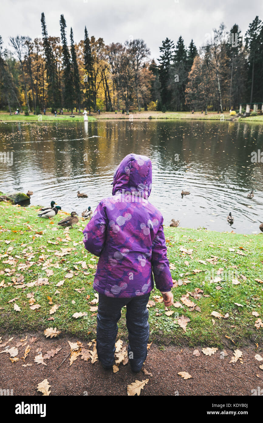 Bambina alimenta le anatre sul laghetto nel parco di autunno Foto Stock